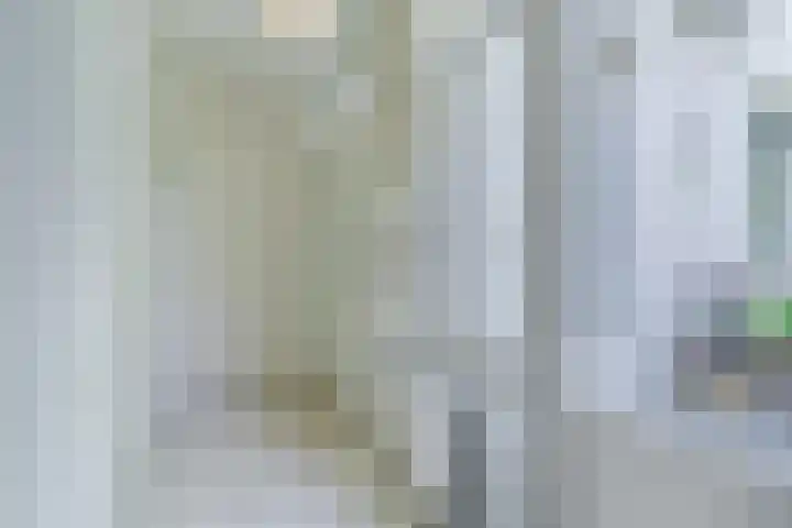 Scholverbos 61 Rijen thumbnail 24