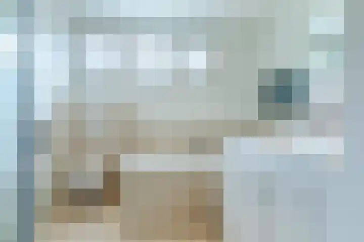 Scholverbos 61 Rijen thumbnail 32