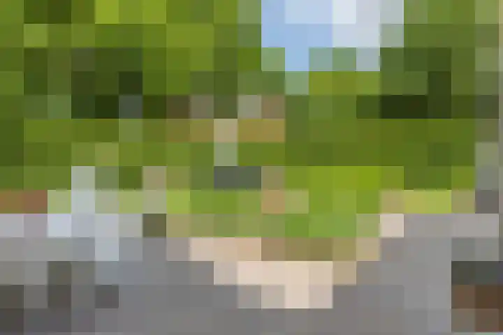 Scholverbos 61 Rijen thumbnail 35