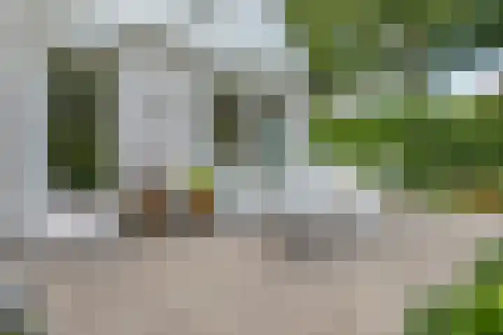 Scholverbos 61 Rijen thumbnail 37