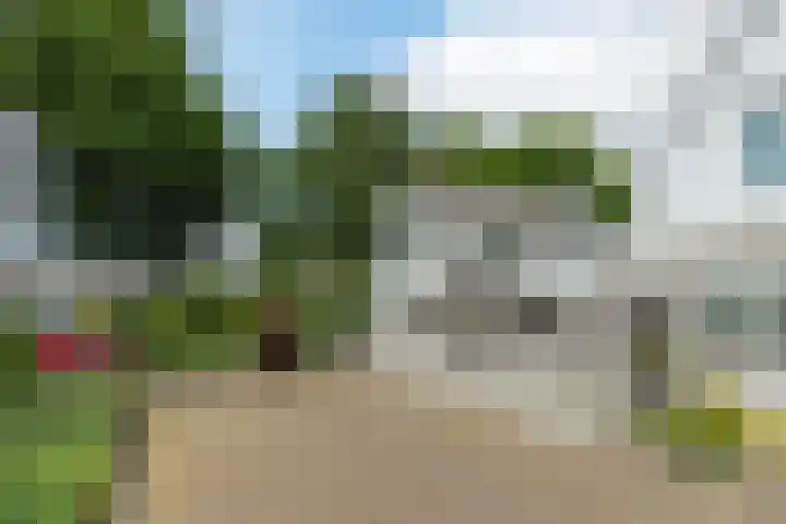 Scholverbos 61 Rijen thumbnail 4