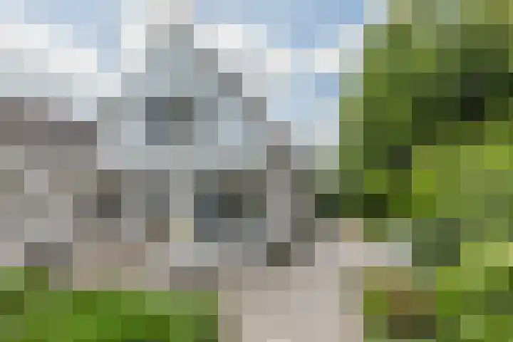 Scholverbos 61 Rijen thumbnail 41