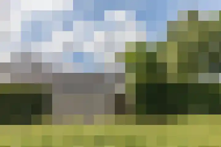 Scholverbos 61 Rijen thumbnail 42