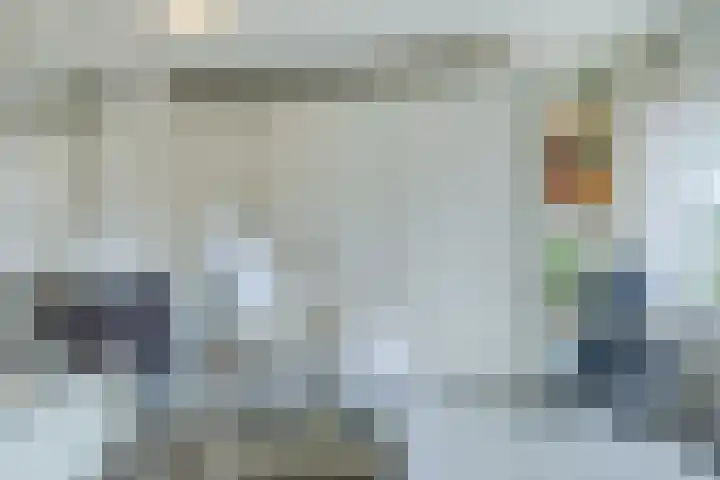 Scholverbos 61 Rijen thumbnail 8