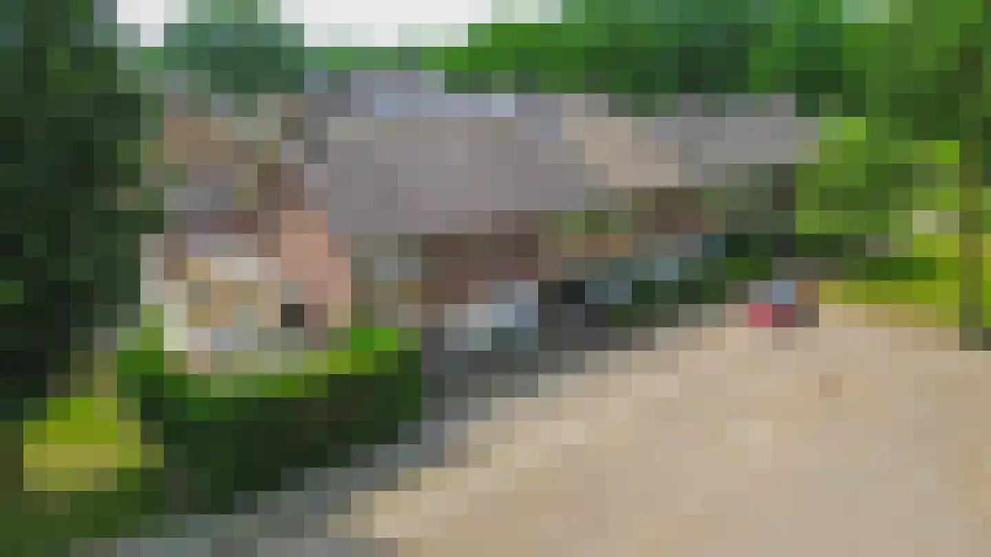 Schommerveld 12 Deurne thumbnail 63