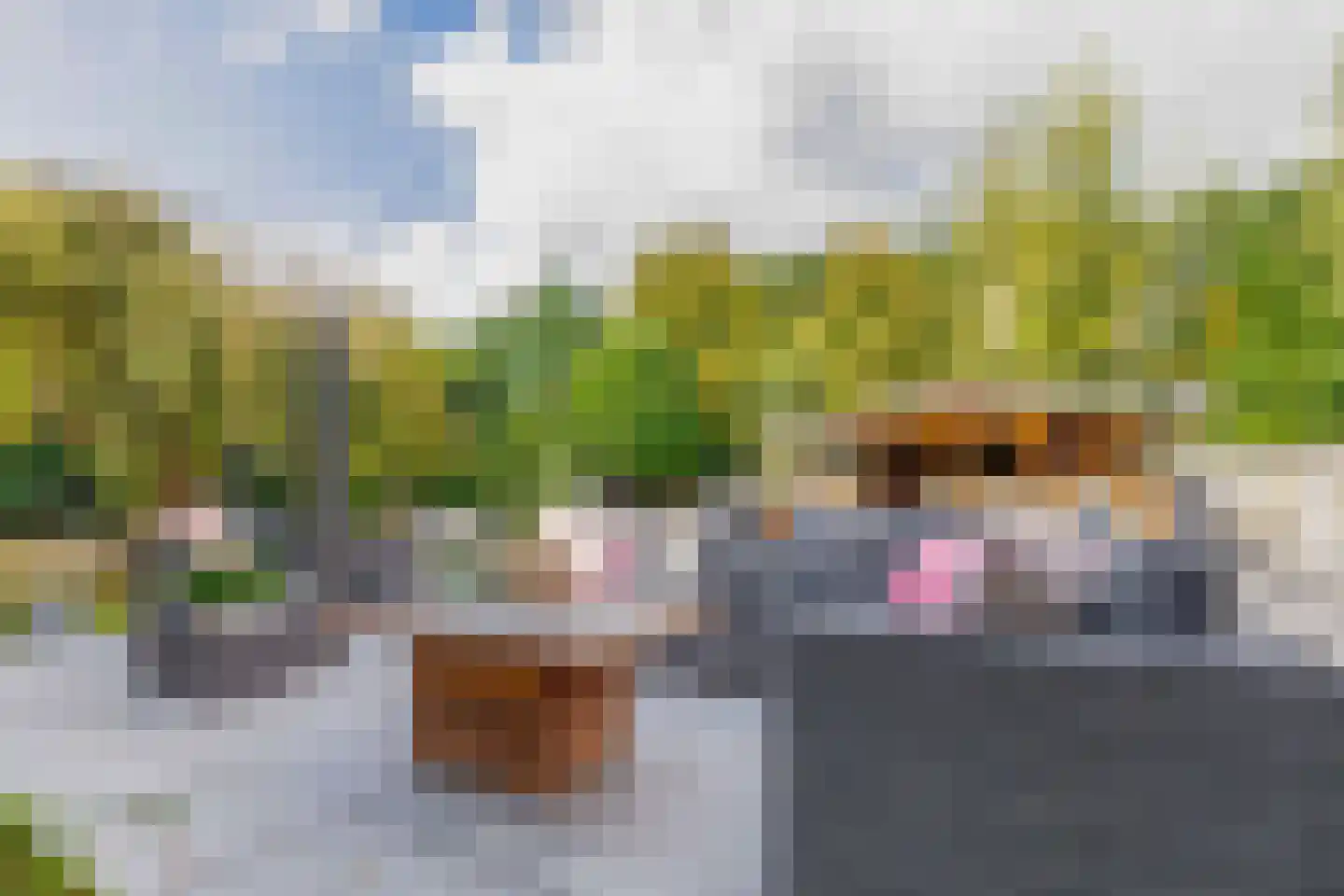 Schommerveld 21 Deurne thumbnail 70