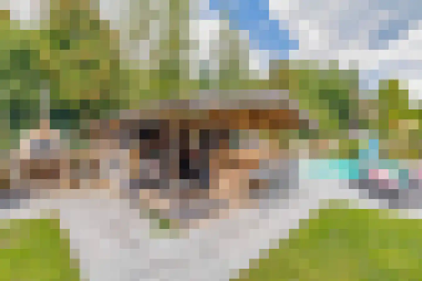 Schommerveld 21 Deurne thumbnail 75