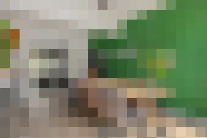 Schommerveld 52 Deurne thumbnail 16