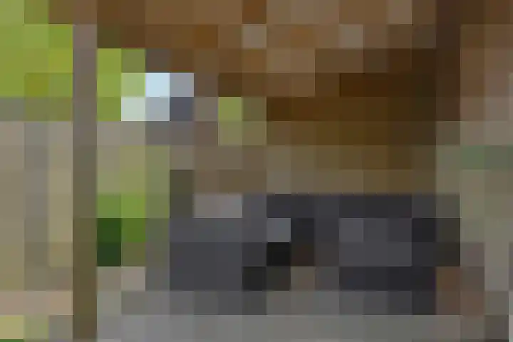 Schommerveld 52 Deurne thumbnail 34