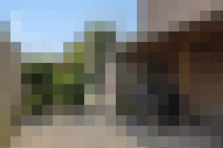 Schommerveld 52 Deurne thumbnail 37