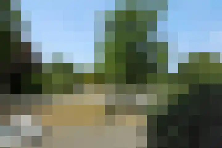 Schommerveld 52 Deurne thumbnail 42