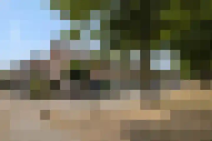 Schommerveld 52 Deurne thumbnail 45