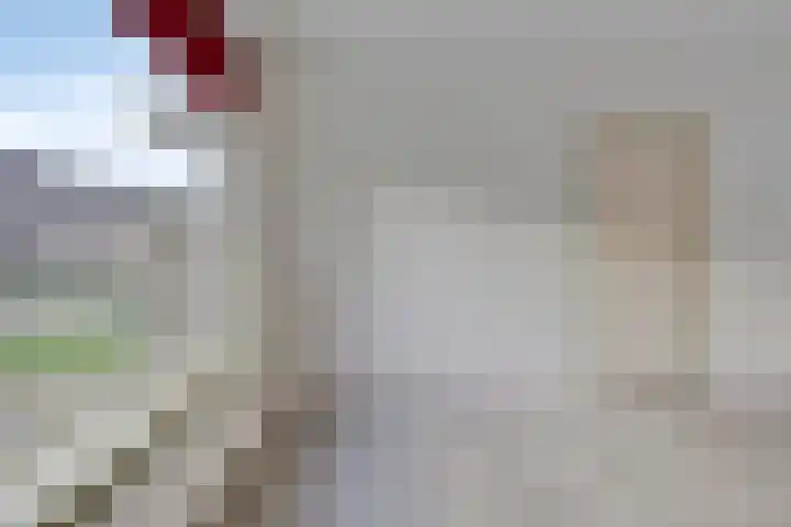 Schonauwen 29 Roden thumbnail 11