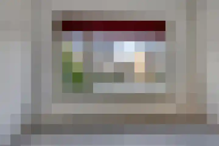 Schonauwen 29 Roden thumbnail 12