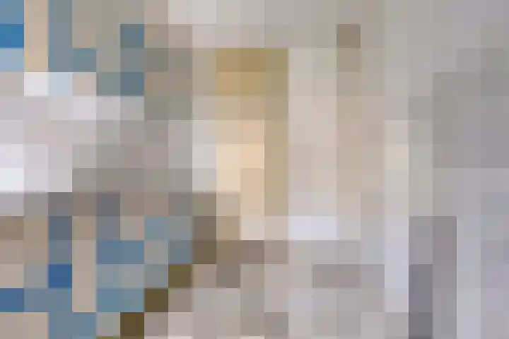 Schonauwen 29 Roden thumbnail 14