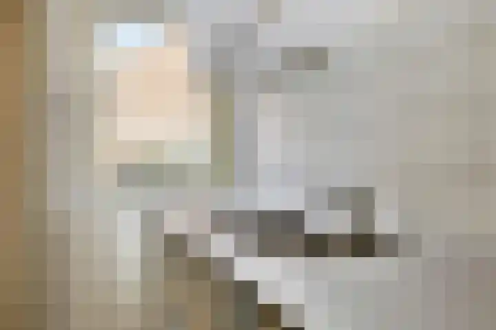 Schonauwen 29 Roden thumbnail 16
