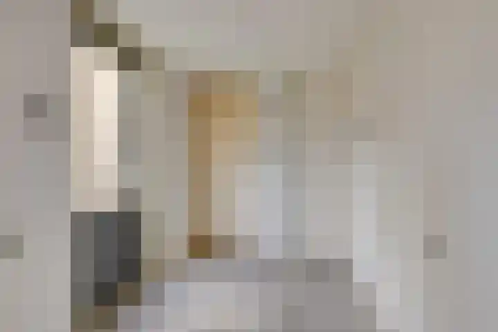 Schonauwen 29 Roden thumbnail 17