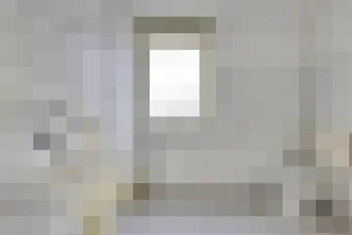 Schonauwen 29 Roden thumbnail 19