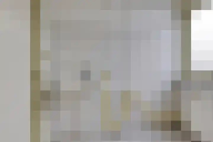 Schonauwen 29 Roden thumbnail 21