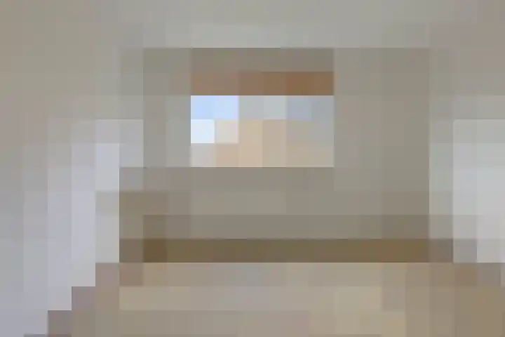 Schonauwen 29 Roden thumbnail 22