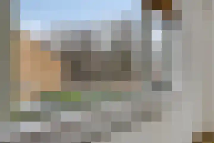 Schonauwen 29 Roden thumbnail 23