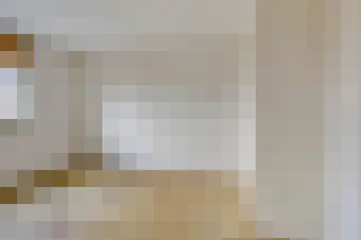Schonauwen 29 Roden thumbnail 24