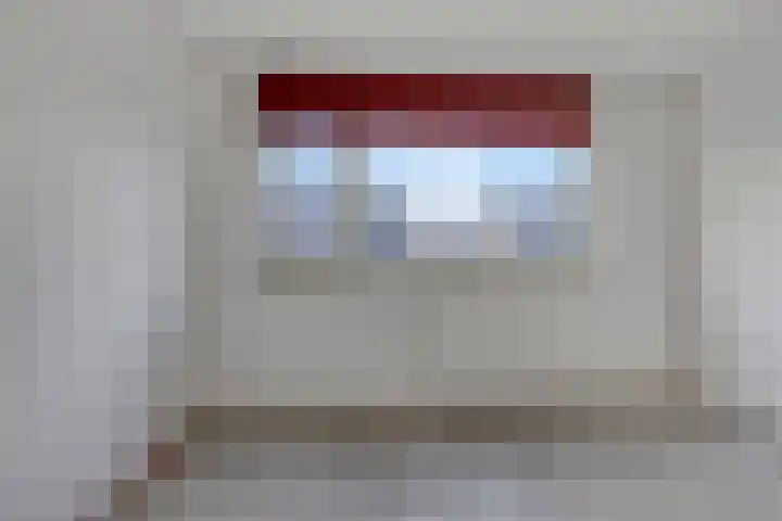 Schonauwen 29 Roden thumbnail 26