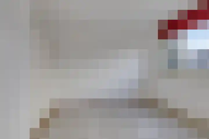 Schonauwen 29 Roden thumbnail 27