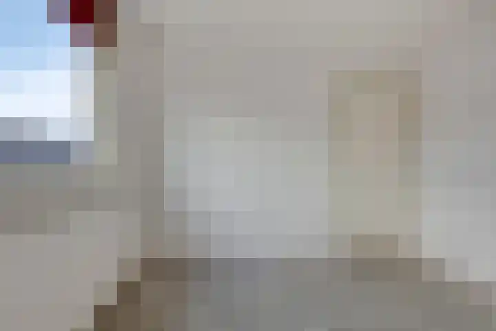 Schonauwen 29 Roden thumbnail 28