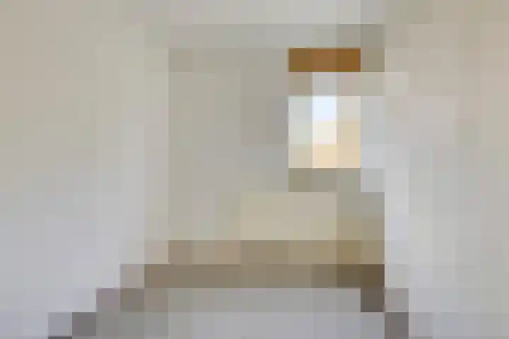 Schonauwen 29 Roden thumbnail 29