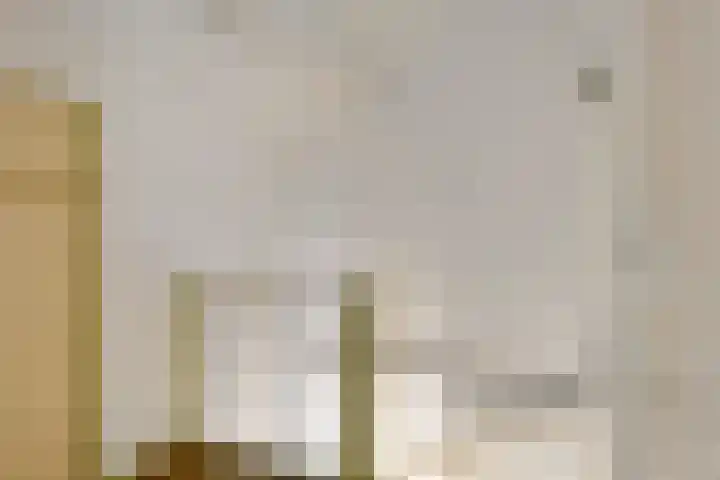 Schonauwen 29 Roden thumbnail 32