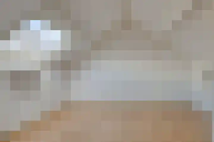 Schonauwen 29 Roden thumbnail 34
