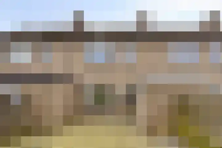 Schonauwen 29 Roden thumbnail 36
