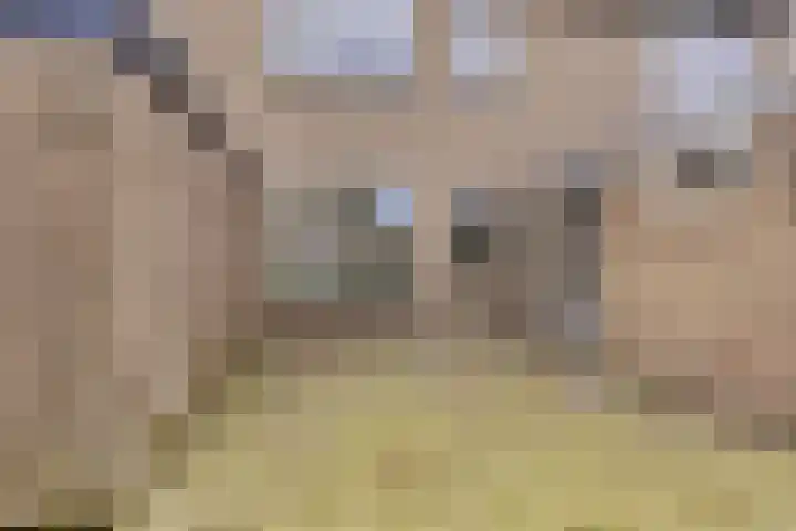Schonauwen 29 Roden thumbnail 37