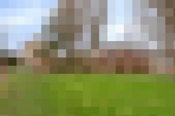 Schonauwen 29 Roden thumbnail 38