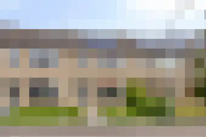 Schonauwen 29 Roden thumbnail 5