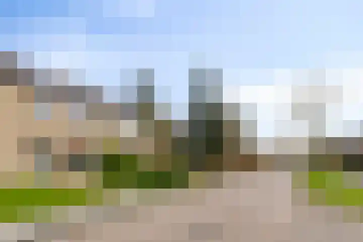 Schonauwen 29 Roden thumbnail 6