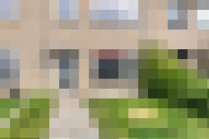 Schonauwen 29 Roden thumbnail 7