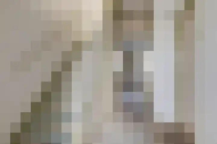 Schonauwen 29 Roden thumbnail 8