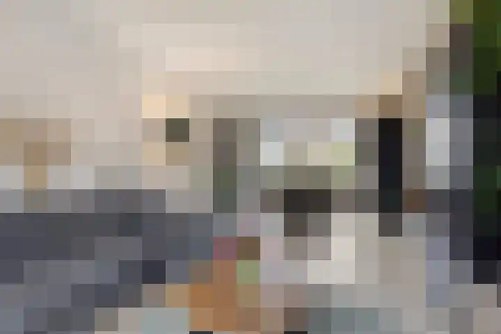 Schonauwen 36 Roden thumbnail 12