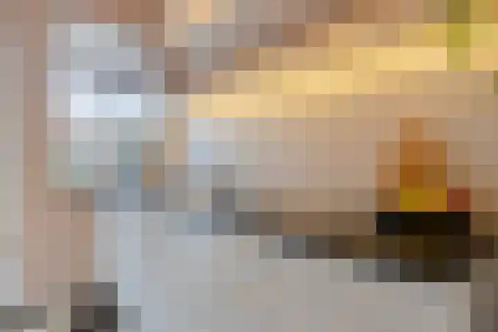 Schonauwen 36 Roden thumbnail 17