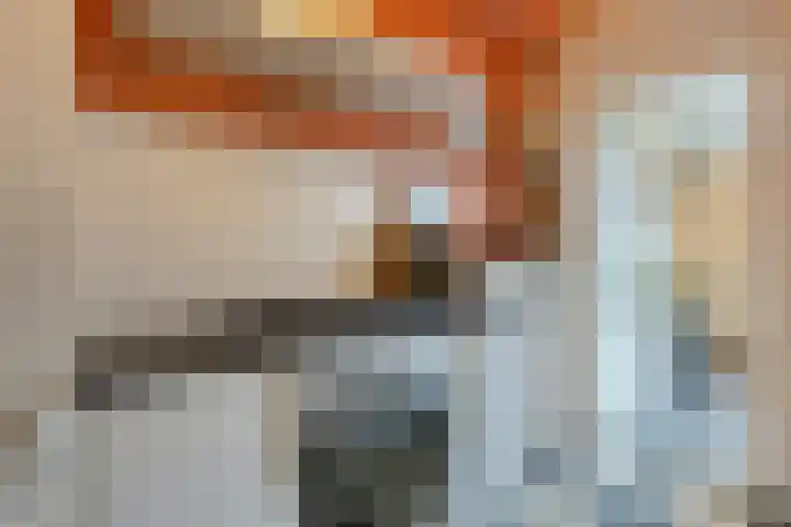 Schonauwen 36 Roden thumbnail 18