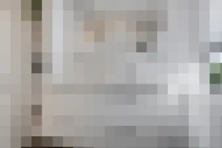 Schonauwen 36 Roden thumbnail 28