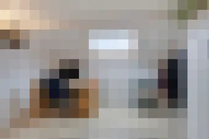 Schonauwen 36 Roden thumbnail 32