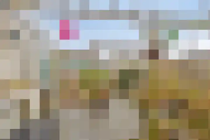 Schonauwen 36 Roden thumbnail 34