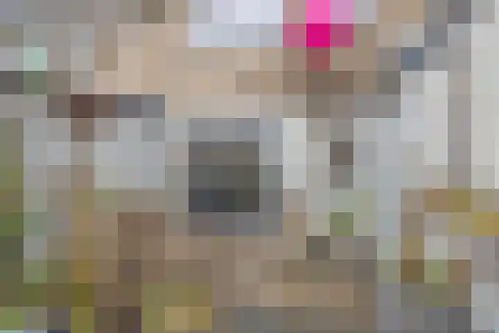 Schonauwen 36 Roden thumbnail 36