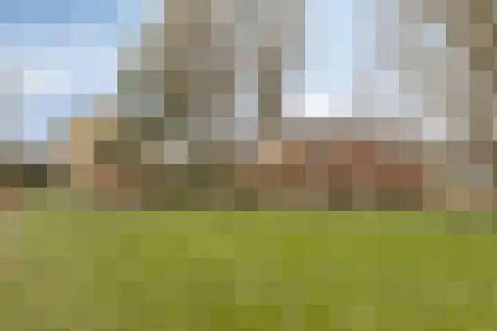 Schonauwen 36 Roden thumbnail 38