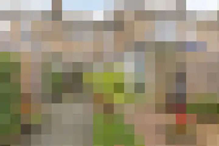 Schonauwen 36 Roden thumbnail 4