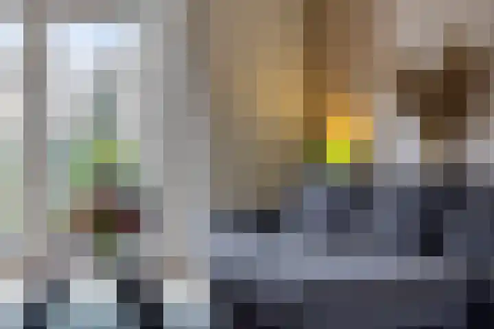 Schonauwen 36 Roden thumbnail 9