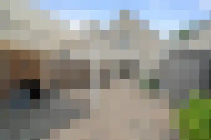 Schonauwen 43 IJsselstein thumbnail 17